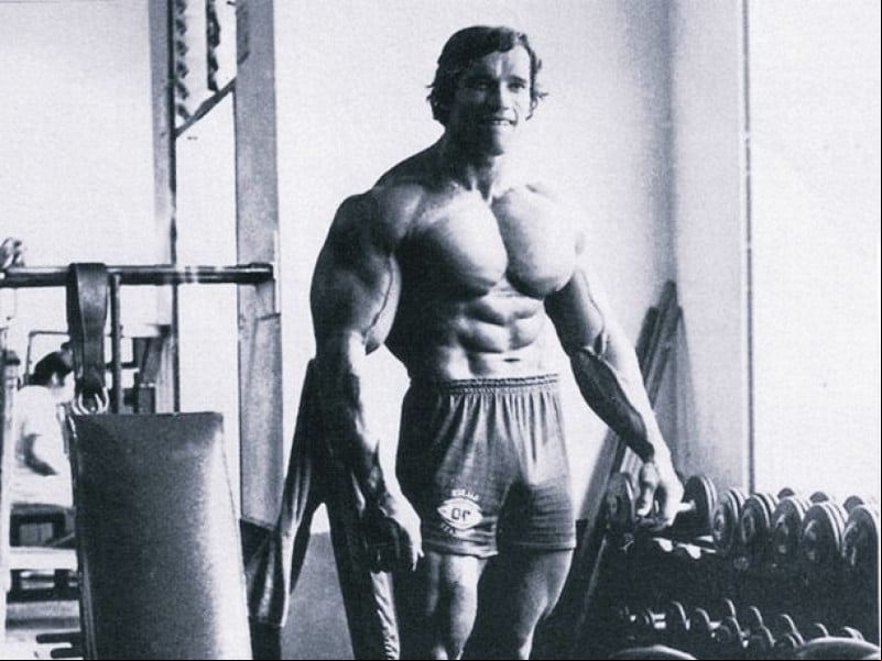 Arnold Schwarzenegger ganhou o apelido de "carvalho austríaco", comparando seus músculos à rigidez e espessura da árvore Arnold Schwarzenegger ganhou o apelido de "carvalho austríaco", comparando seus músculos à rigidez e espessura da árvore