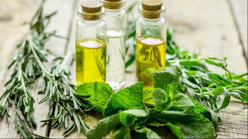 Os banhos ritualísticos potencializam as vibrações e abrem caminhos (Imagem: 279photo Studio | Shutterstock)  