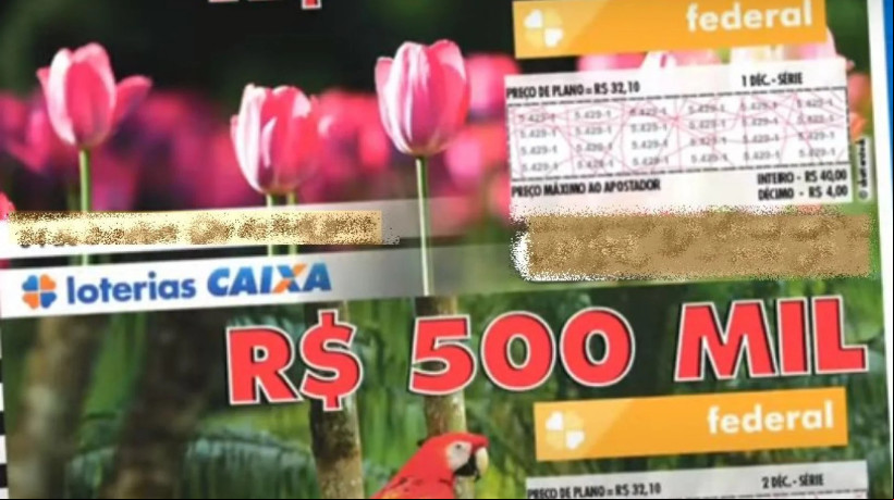 Loteria Federal: números mais comuns podem influenciar na escolha do bilhete
 